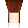 Angle Liner/Brow Brush
